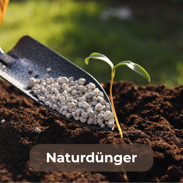 Naturdünger aus organischen Materialien wie Kompost, Tiermist und Pflanzenresten zur nachhaltigen und umweltfreundlichen Nährstoffversorgung im Garten, fördert gesunde Pflanzen und verbessert die Bodenstruktur.