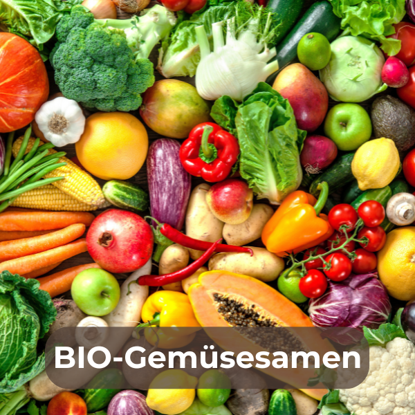BIO-Gemüsesamen für den nachhaltigen Gartenanbau, aus kontrolliert biologischem Anbau ohne chemische Pestizide und Mineraldünger, sorgen für gesunde, robuste Pflanzen und fördern die Biodiversität.