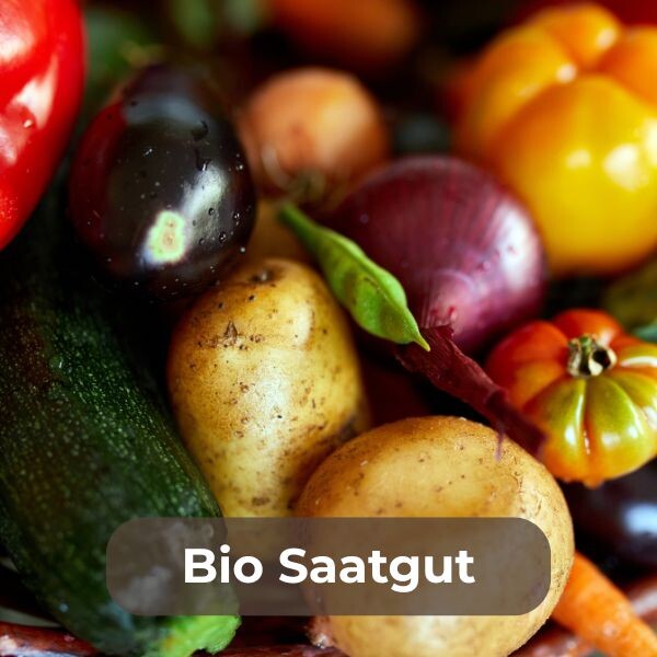 Bio-Saatgut für gesunden, nachhaltigen Anbau kaufen: Zertifizierte Samen für Gemüse, Kräuter und Blumen. Ideal für ökologischen Garten und Balkon!