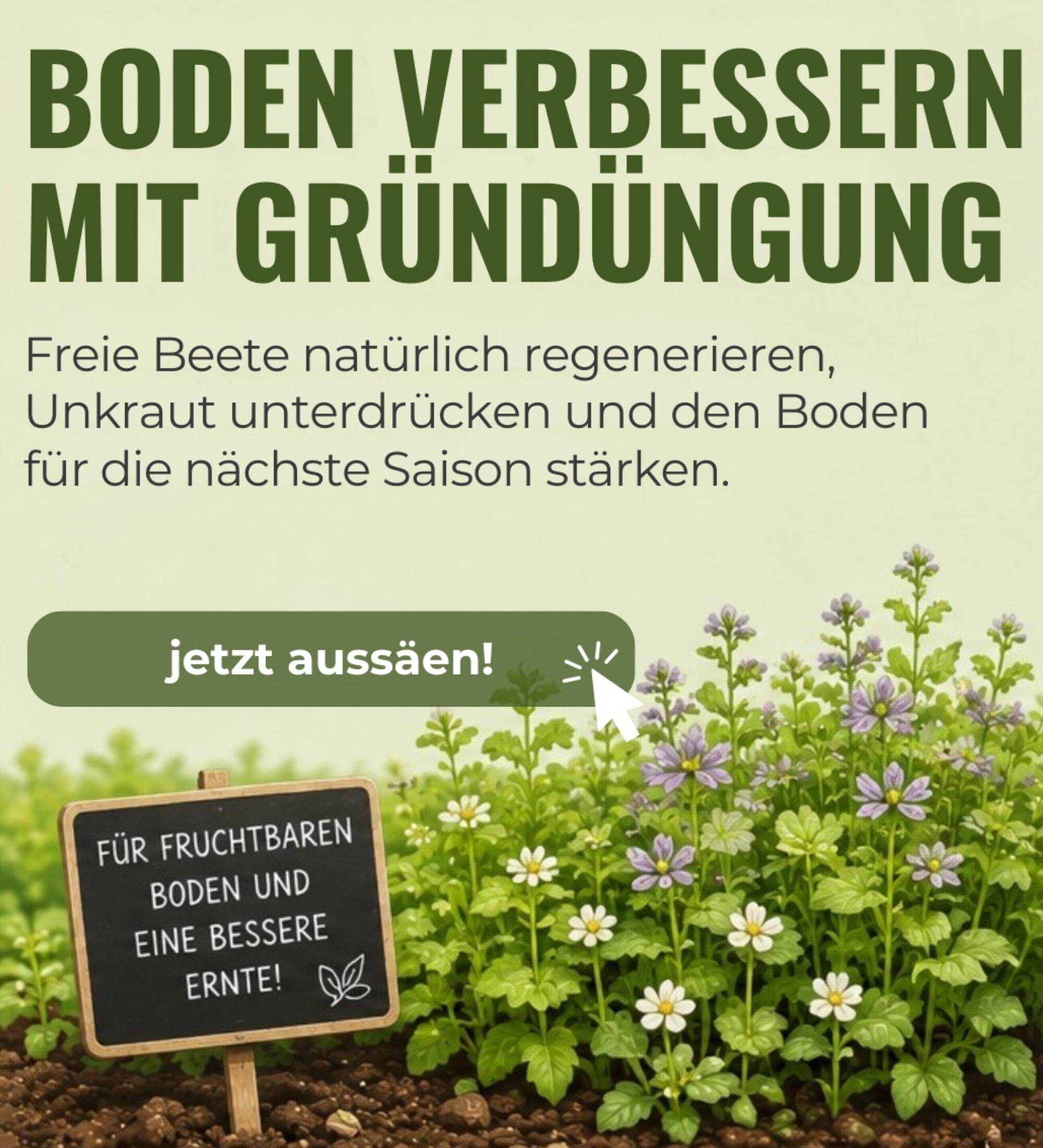 Werbegrafik für Bodenverbesserung durch Gründüngung