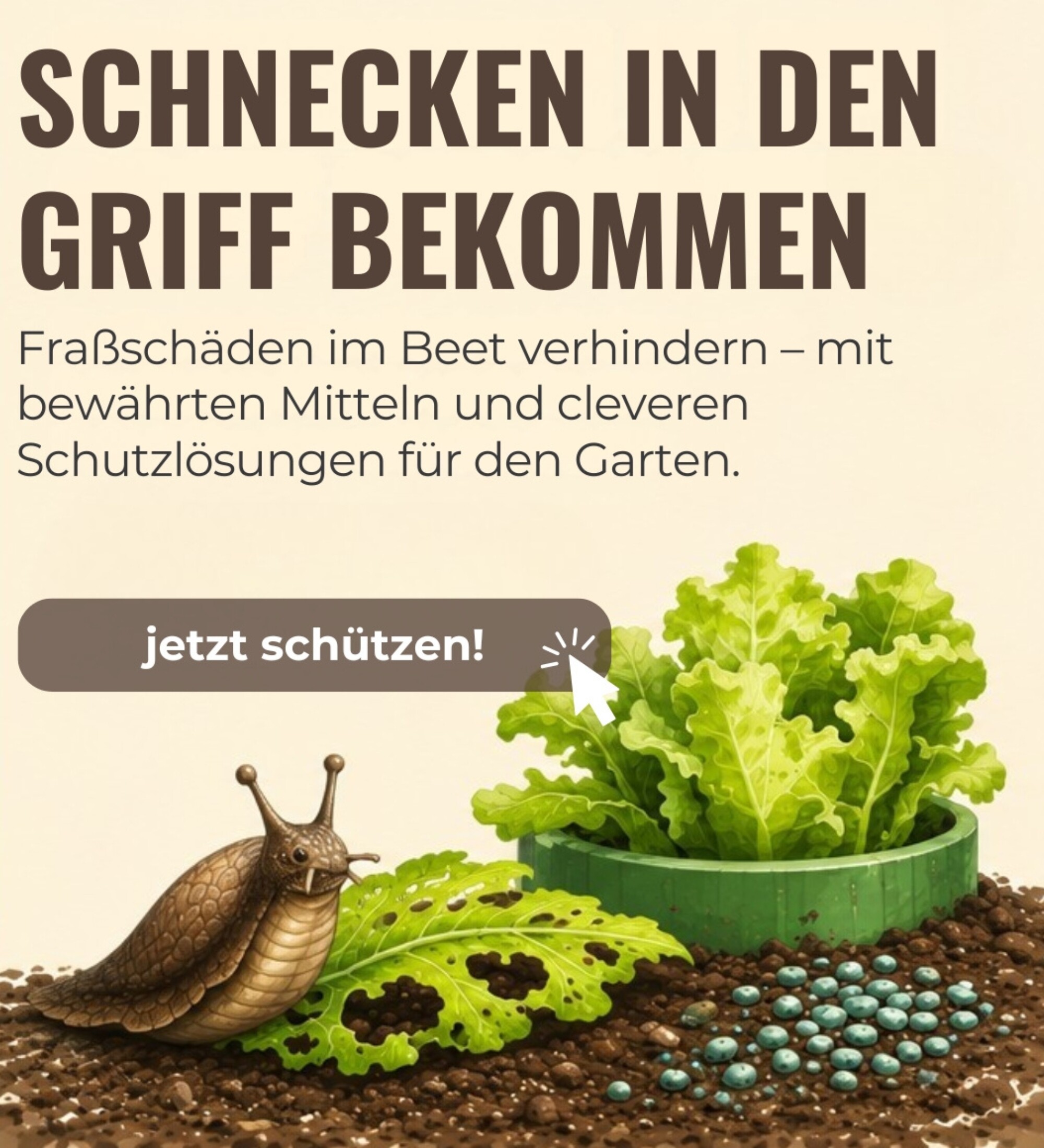 Werbebanner zur Schneckenbekämpfung auf beigefarbenem Hintergrund. Der Text betont zuverlässigen Schutz vor Fraßschäden und enthält einen „Jetzt entdecken“-Button. Zu sehen sind Illustrationen einer Schnecke, eines angefressenen Blattes sowie einer geschützten Pflanze im Beet.