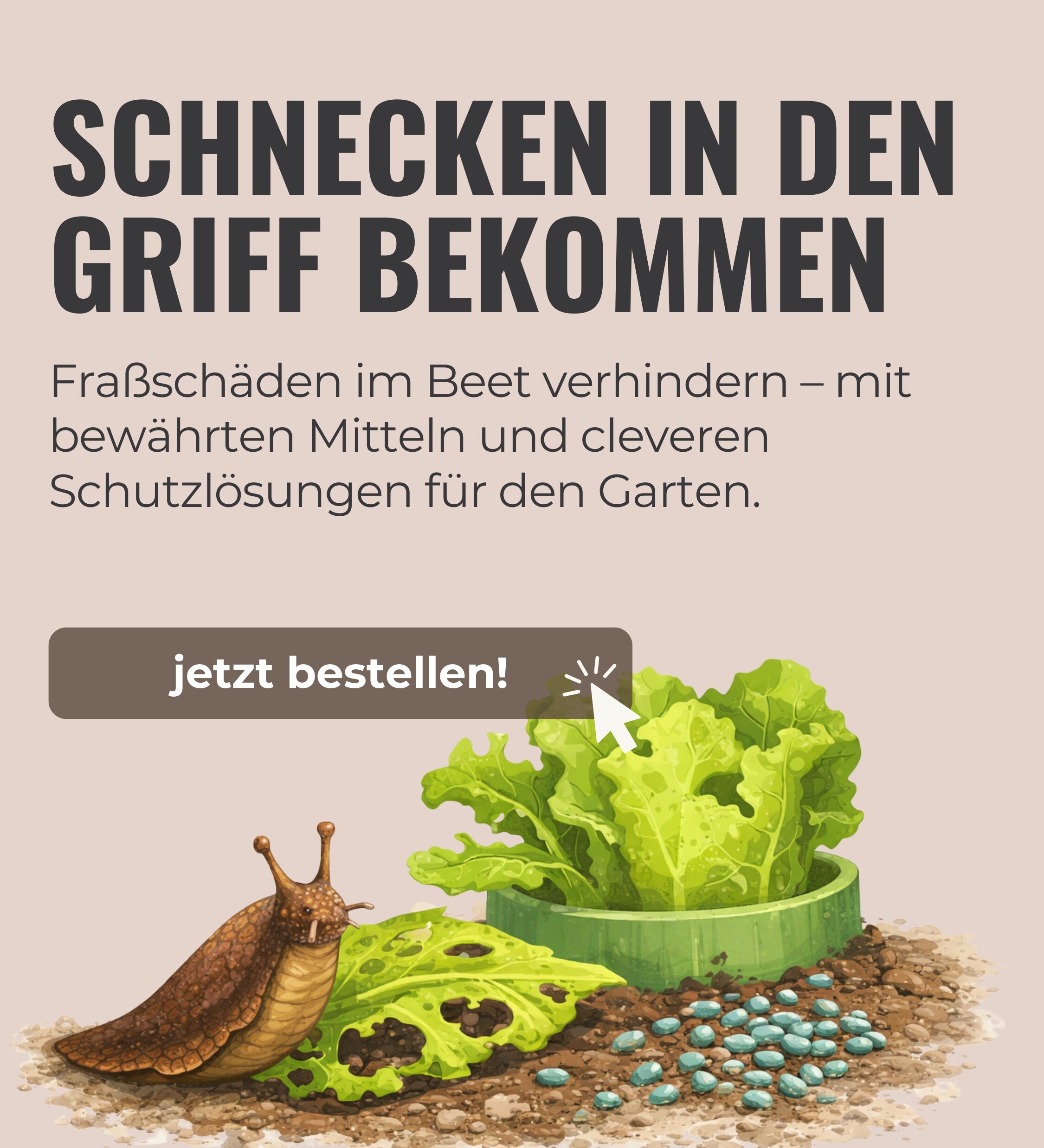 Werbebanner zur Schneckenbekämpfung auf beigefarbenem Hintergrund. Der Text betont zuverlässigen Schutz vor Fraßschäden und enthält einen „Jetzt entdecken“-Button. Zu sehen sind Illustrationen einer Schnecke, eines angefressenen Blattes sowie einer geschützten Pflanze im Beet.