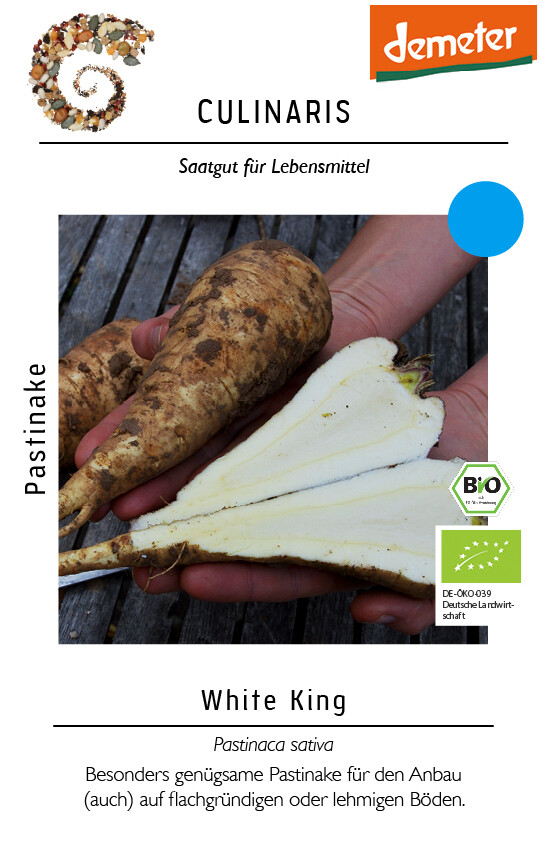 Pastinake White King besonders anspruchslos