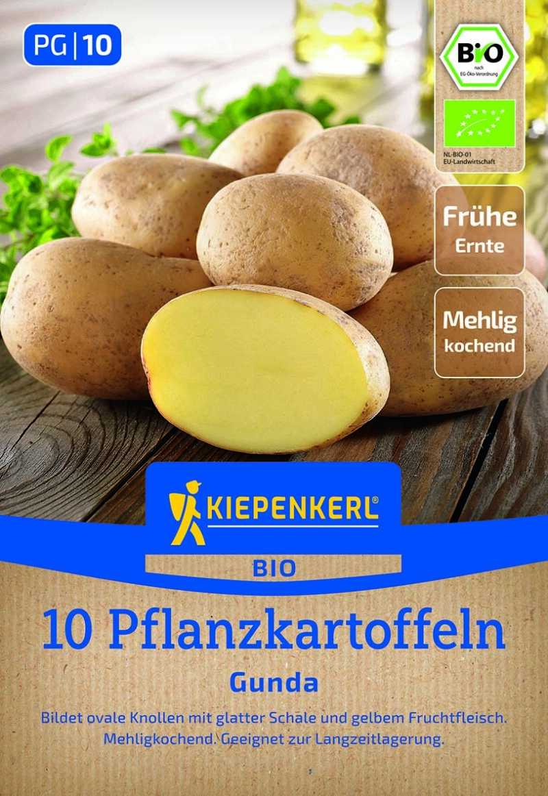 zimmerpflanzen bochum Großer Pflanzenverkauf Bochum – PflanzenFuerAlle