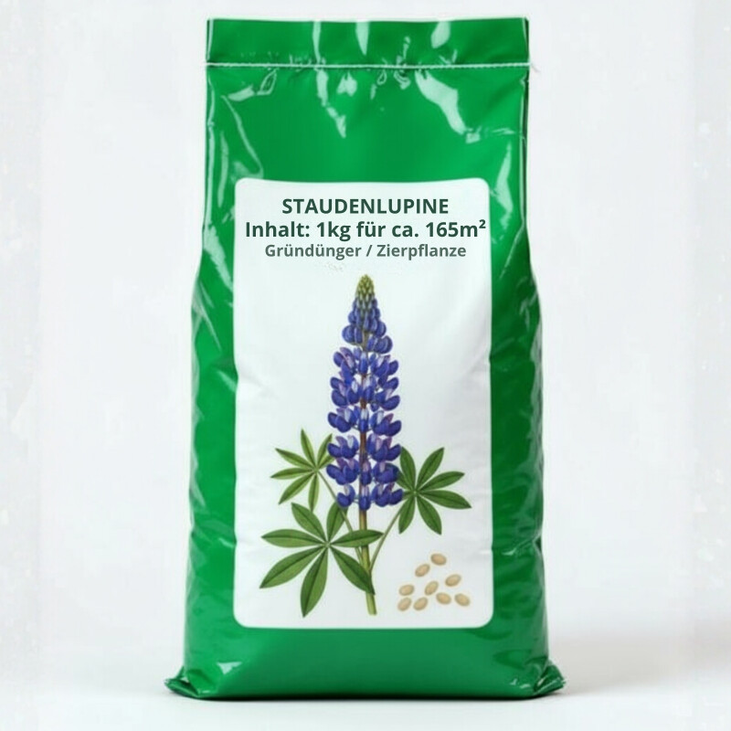 Staudenlupine, lupinus polyphyllus, mehrjährige Blühstaude - 1kg für ca 165 m²