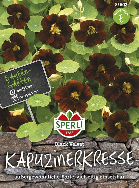 Sperli Kapuzinerkresse Black Velvet, Sorte mit fast schwarzen Blütenblättern, essbar
